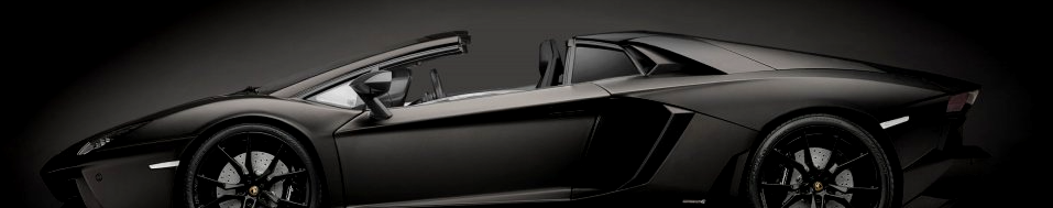 Pocher 1/8 scale Lamborghini Aventador Roadster Nero Nemesis kit HK121